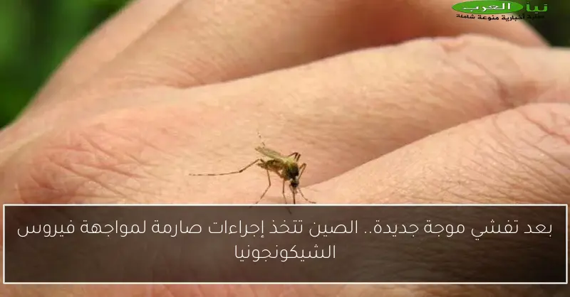 بعد تفشي موجة جديدة.. الصين تتخذ إجراءات صارمة لمواجهة فيروس الشيكونجونيا