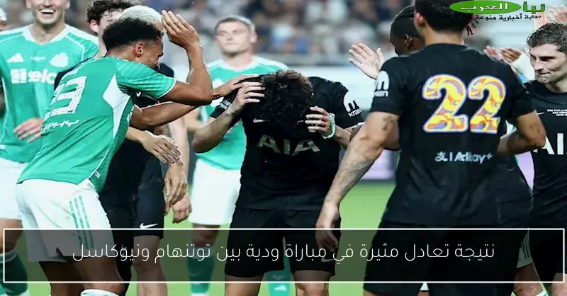 نتيجة تعادل مثيرة في مباراة ودية بين توتنهام ونيوكاسل