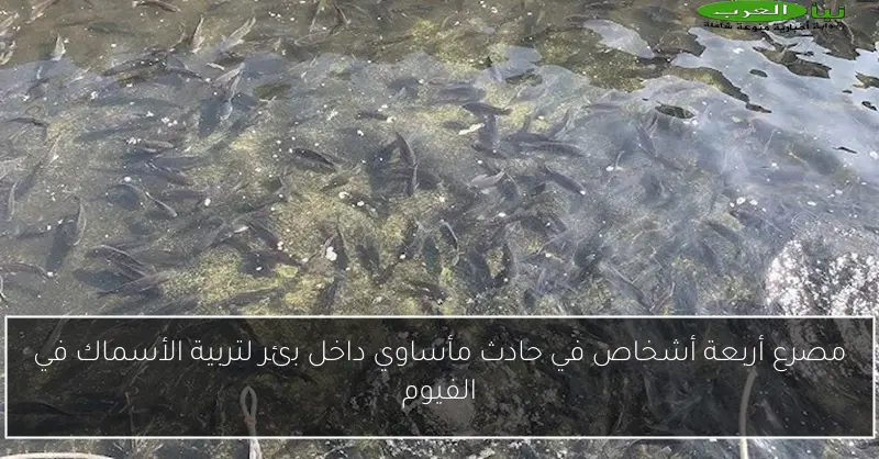 مصرع أربعة أشخاص في حادث مأساوي داخل بئر لتربية الأسماك في الفيوم
