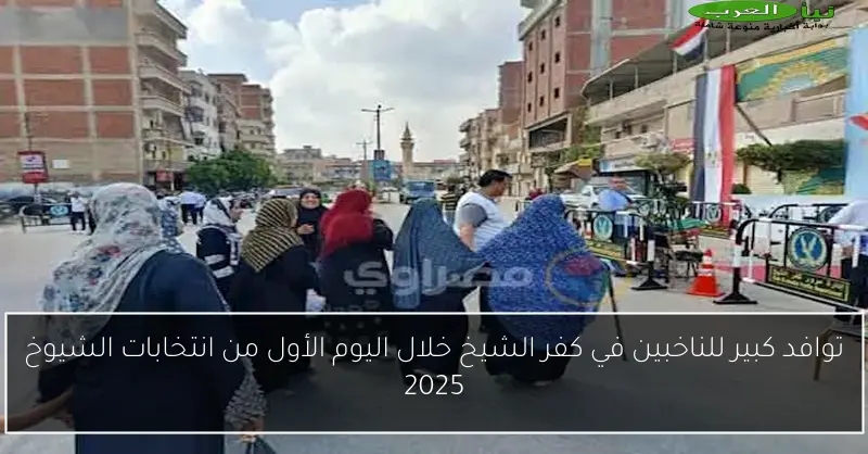 توافد كبير للناخبين في كفر الشيخ خلال اليوم الأول من انتخابات الشيوخ 2025