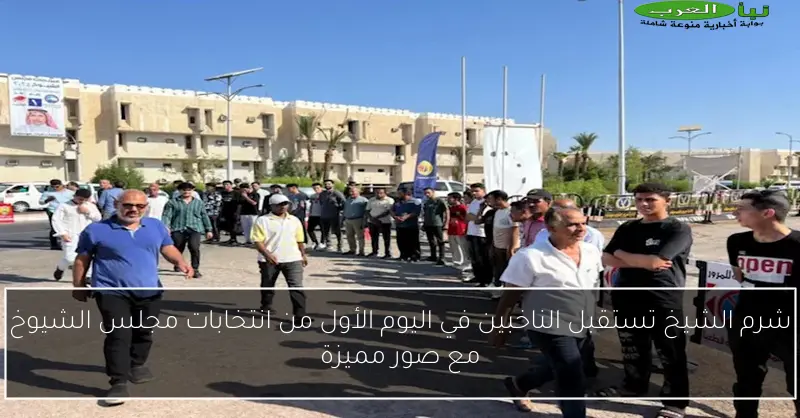 شرم الشيخ تستقبل الناخبين في اليوم الأول من انتخابات مجلس الشيوخ مع صور مميزة