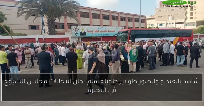 شاهد بالفيديو والصور طوابير طويلة أمام لجان انتخابات مجلس الشيوخ في البحيرة