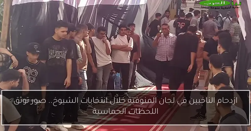ازدحام الناخبين في لجان المنوفية خلال انتخابات الشيوخ.. صور توثق اللحظات الحماسية