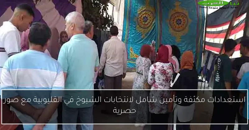 استعدادات مكثفة وتأمين شامل لانتخابات الشيوخ في القليوبية مع صور حصرية