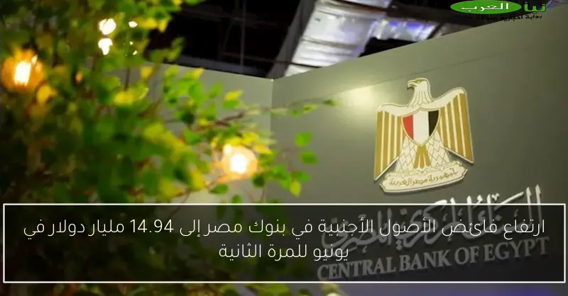 ارتفاع فائض الأصول الأجنبية في بنوك مصر إلى 14.94 مليار دولار في يونيو للمرة الثانية