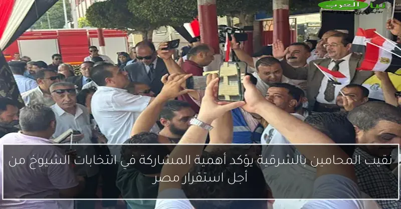نقيب المحامين بالشرقية يؤكد أهمية المشاركة في انتخابات الشيوخ من أجل استقرار مصر