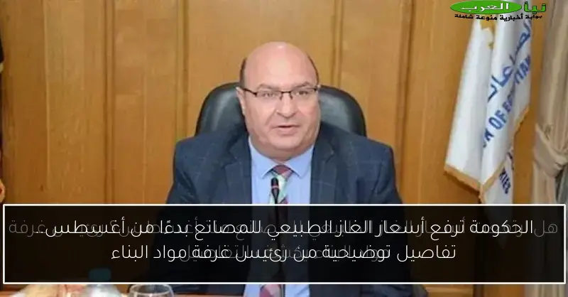 الحكومة ترفع أسعار الغاز الطبيعي للمصانع بدءًا من أغسطس.. تفاصيل توضيحية من رئيس غرفة مواد البناء
