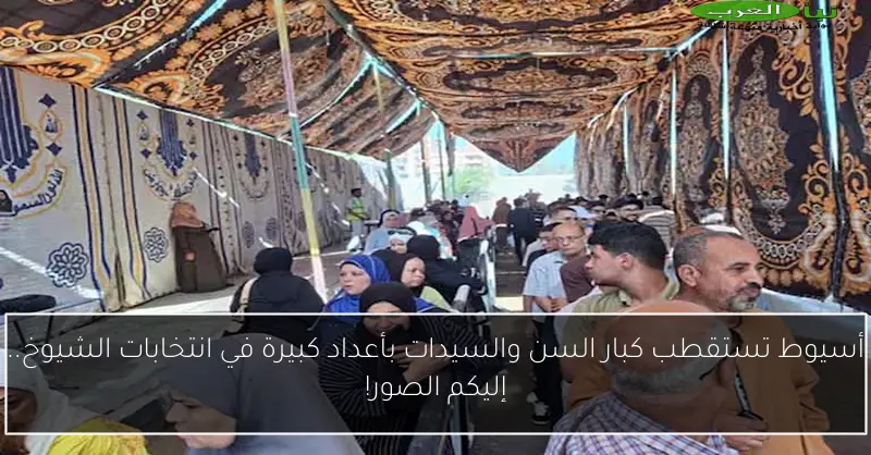 أسيوط تستقطب كبار السن والسيدات بأعداد كبيرة في انتخابات الشيوخ.. إليكم الصور!