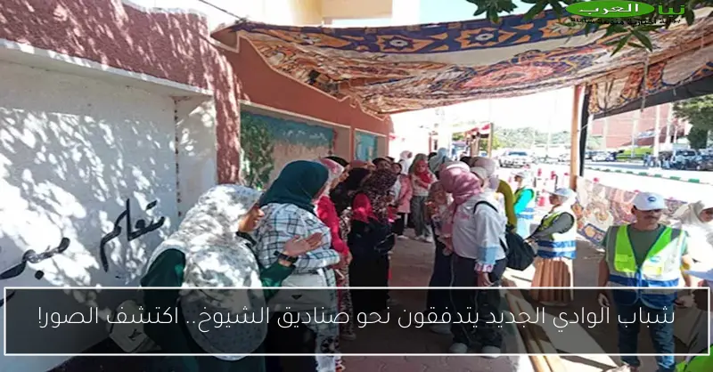 شباب الوادي الجديد يتدفقون نحو صناديق الشيوخ.. اكتشف الصور!