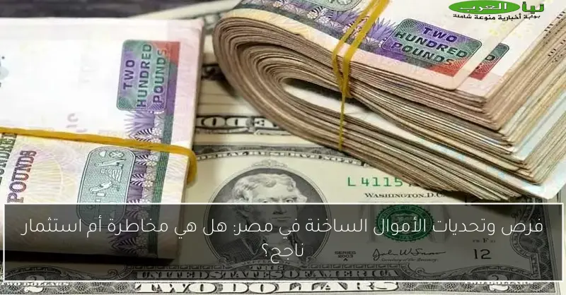 فرص وتحديات الأموال الساخنة في مصر: هل هي مخاطرة أم استثمار ناجح؟