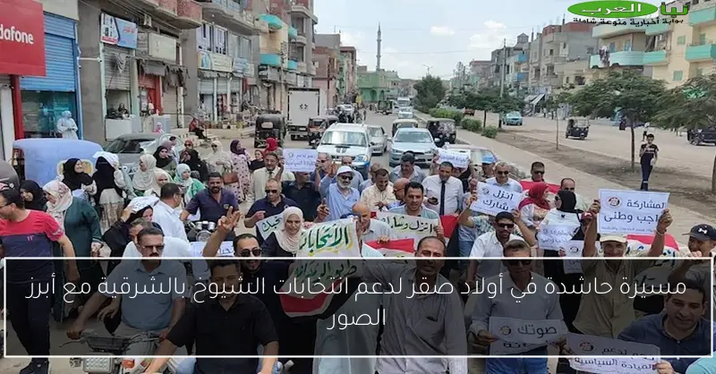 مسيرة حاشدة في أولاد صقر لدعم انتخابات الشيوخ بالشرقية مع أبرز الصور