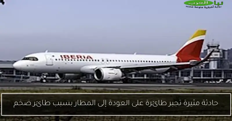 حادثة مثيرة تجبر طائرة على العودة إلى المطار بسبب طائر ضخم