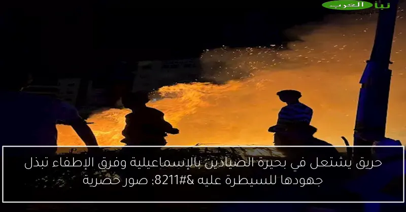 حريق يشتعل في بحيرة الصيادين بالإسماعيلية وفرق الإطفاء تبذل جهودها للسيطرة عليه – صور حصرية