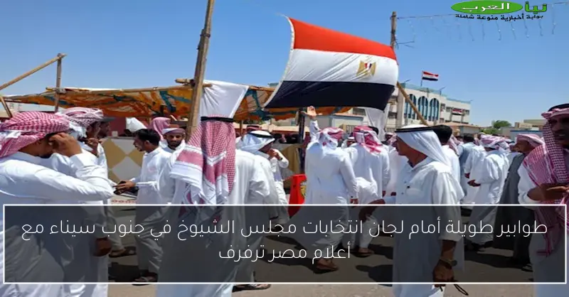 طوابير طويلة أمام لجان انتخابات مجلس الشيوخ في جنوب سيناء مع أعلام مصر ترفرف
