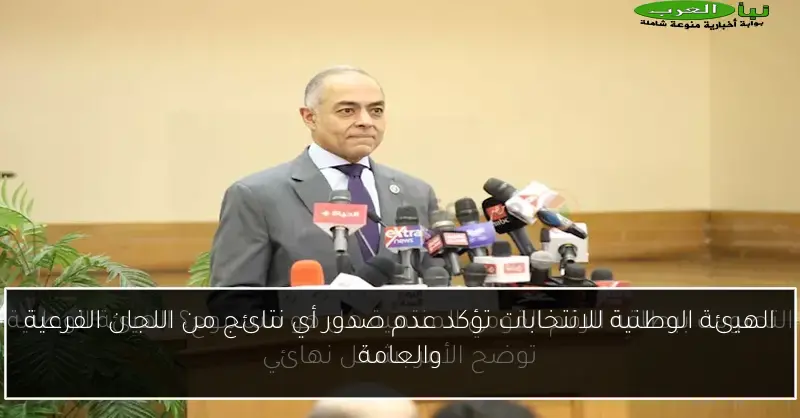 الهيئة الوطنية للانتخابات تؤكد عدم صدور أي نتائج من اللجان الفرعية والعامة