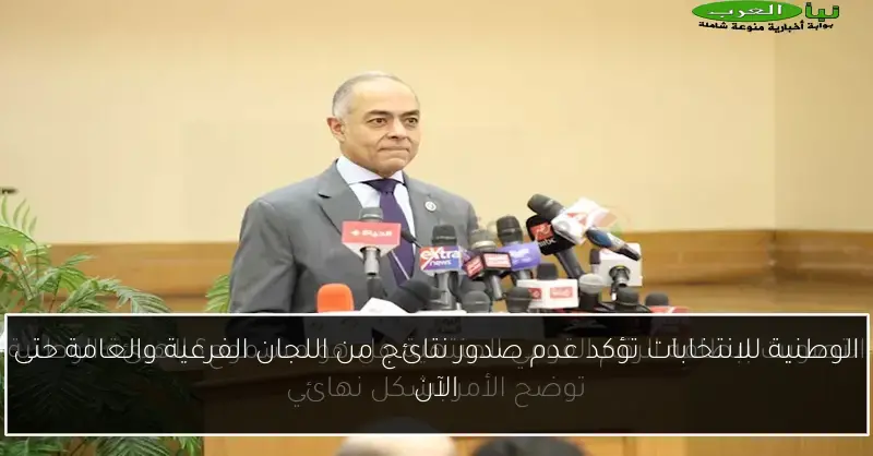 الوطنية للانتخابات تؤكد عدم صدور نتائج من اللجان الفرعية والعامة حتى الآن
