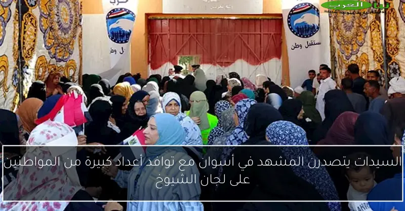 السيدات يتصدرن المشهد في أسوان مع توافد أعداد كبيرة من المواطنين على لجان الشيوخ
