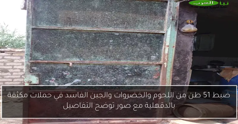 ضبط 51 طن من اللحوم والخضروات والجبن الفاسد في حملات مكثفة بالدقهلية مع صور توضح التفاصيل