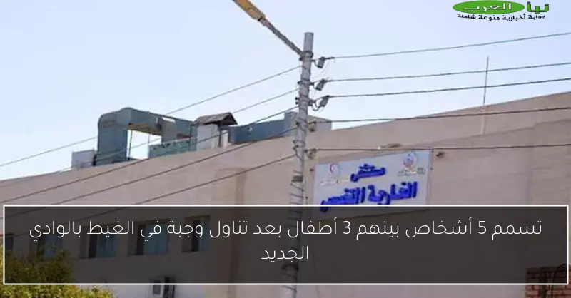 تسمم 5 أشخاص بينهم 3 أطفال بعد تناول وجبة في الغيط بالوادي الجديد