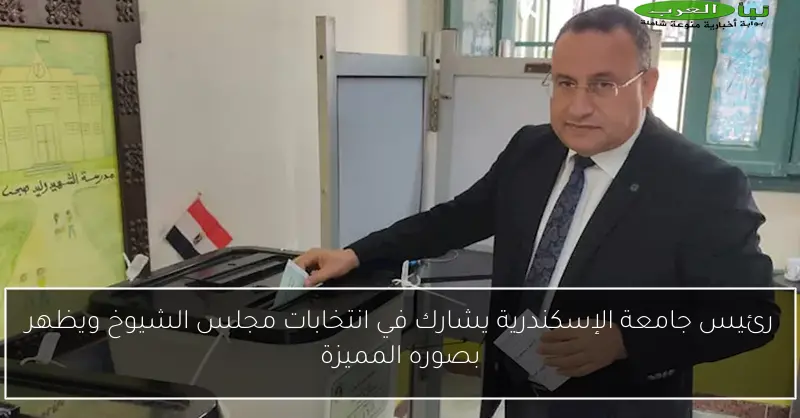 رئيس جامعة الإسكندرية يشارك في انتخابات مجلس الشيوخ ويظهر بصوره المميزة