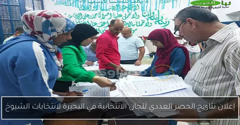 إعلان نتائج الحصر العددي للجان الانتخابية في البحيرة لانتخابات الشيوخ