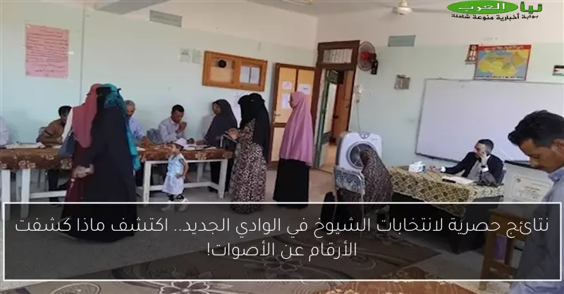 نتائج حصرية لانتخابات الشيوخ في الوادي الجديد.. اكتشف ماذا كشفت الأرقام عن الأصوات!