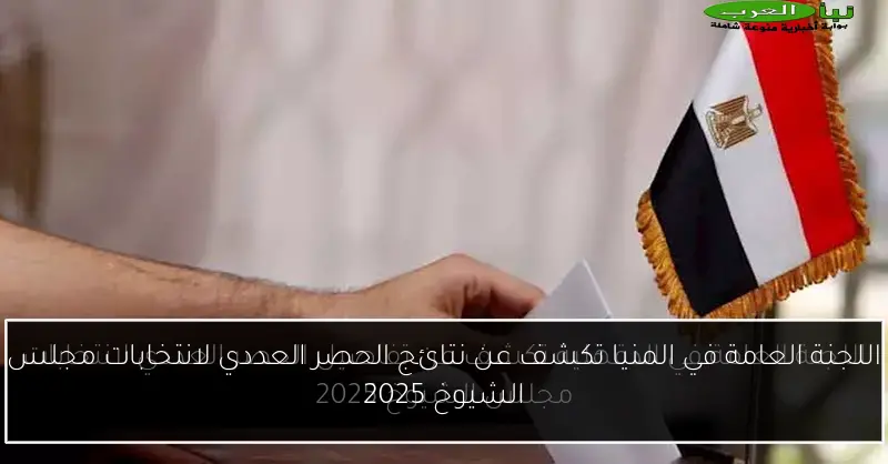 اللجنة العامة في المنيا تكشف عن نتائج الحصر العددي لانتخابات مجلس الشيوخ 2025