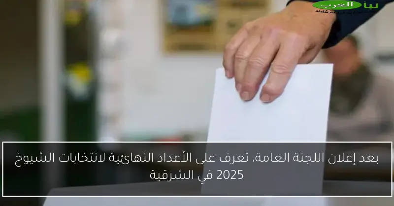بعد إعلان اللجنة العامة، تعرف على الأعداد النهائية لانتخابات الشيوخ 2025 في الشرقية