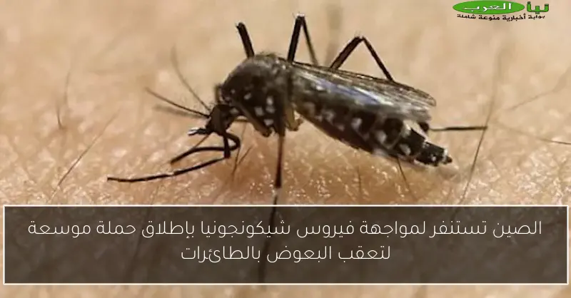 الصين تستنفر لمواجهة فيروس شيكونجونيا بإطلاق حملة موسعة لتعقب البعوض بالطائرات
