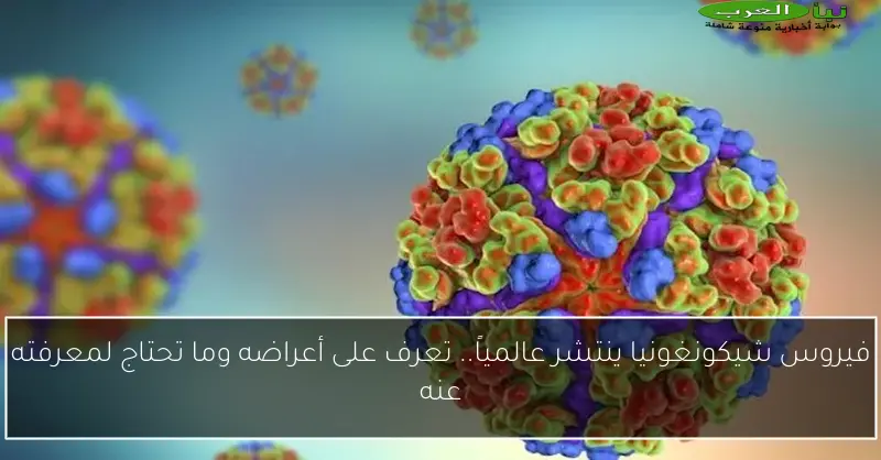 فيروس شيكونغونيا ينتشر عالمياً.. تعرف على أعراضه وما تحتاج لمعرفته عنه