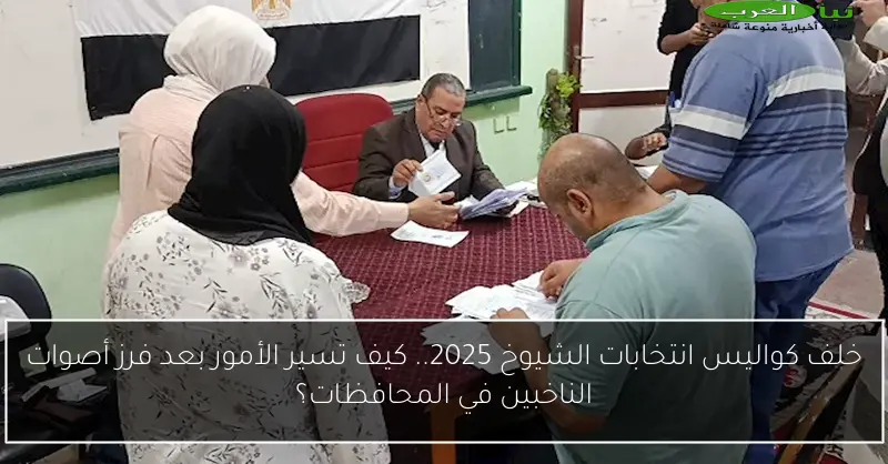 خلف كواليس انتخابات الشيوخ 2025.. كيف تسير الأمور بعد فرز أصوات الناخبين في المحافظات؟