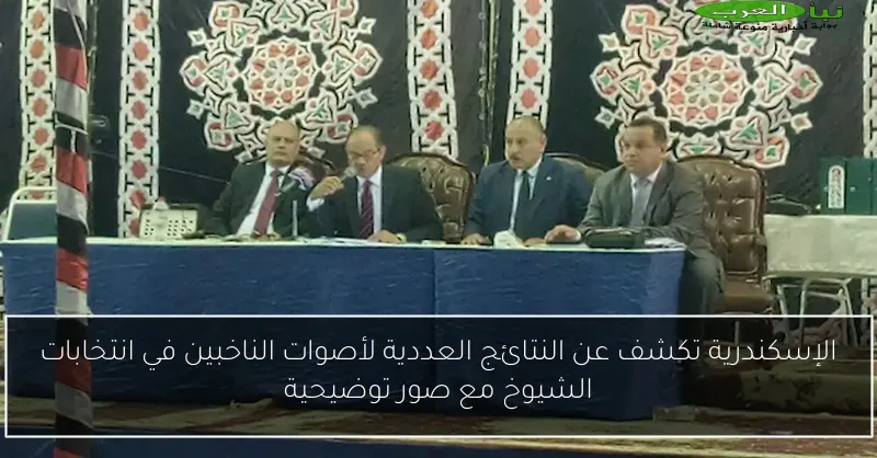 الإسكندرية تكشف عن النتائج العددية لأصوات الناخبين في انتخابات الشيوخ مع صور توضيحية