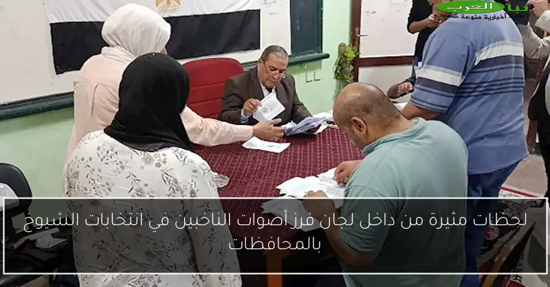 لحظات مثيرة من داخل لجان فرز أصوات الناخبين في انتخابات الشيوخ بالمحافظات