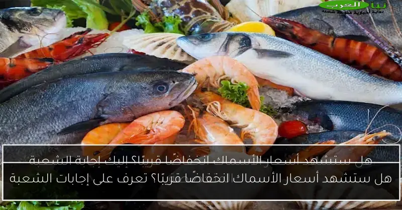 هل ستشهد أسعار الأسماك انخفاضًا قريبًا؟ تعرف على إجابات الشعبة