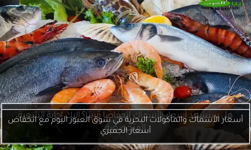 أسعار الأسماك والمأكولات البحرية في سوق العبور اليوم مع انخفاض أسعار الجمبري