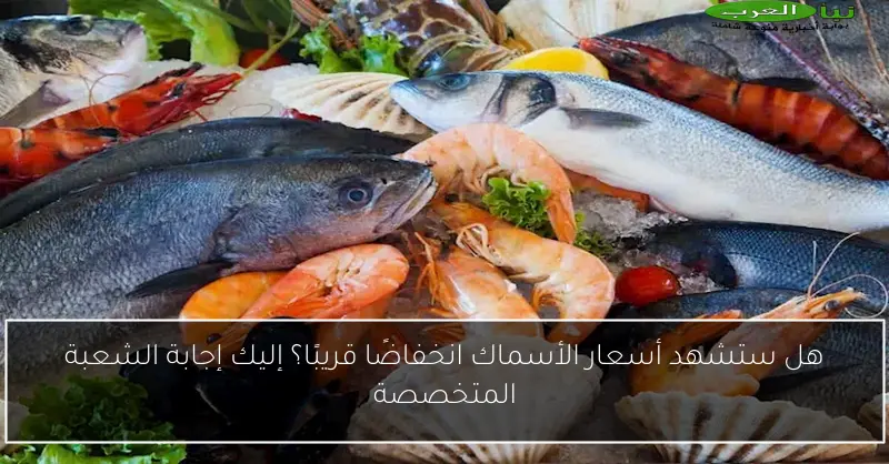 هل ستشهد أسعار الأسماك انخفاضًا قريبًا؟ إليك إجابة الشعبة المتخصصة