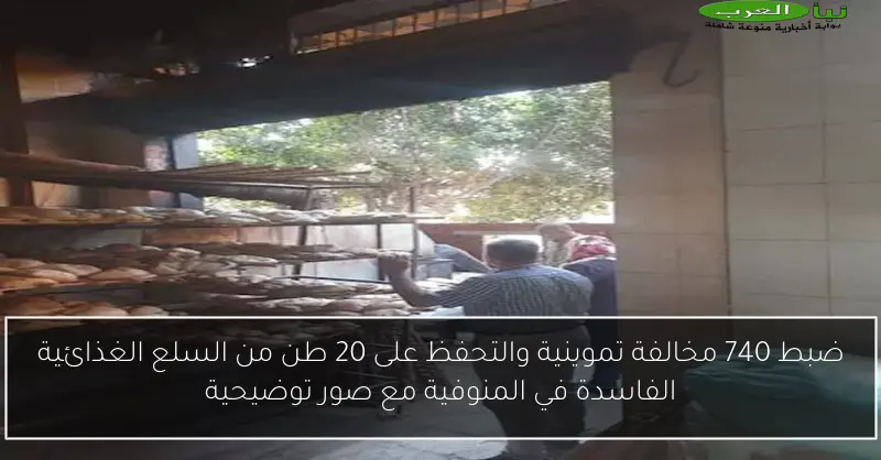 ضبط 740 مخالفة تموينية والتحفظ على 20 طن من السلع الغذائية الفاسدة في المنوفية مع صور توضيحية