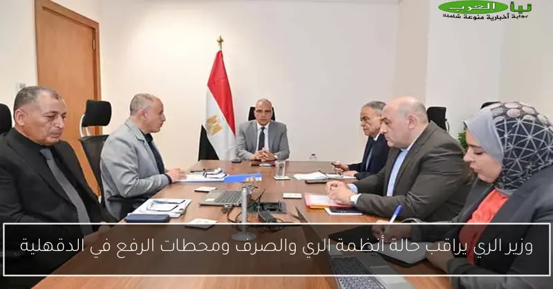 وزير الري يراقب حالة أنظمة الري والصرف ومحطات الرفع في الدقهلية