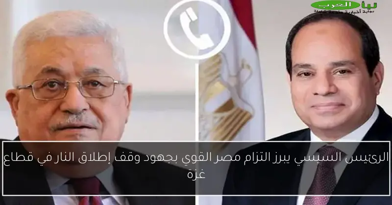 الرئيس السيسي يبرز التزام مصر القوي بجهود وقف إطلاق النار في قطاع غزة