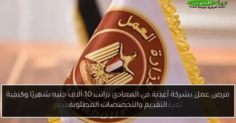 فرص عمل بشركة أغذية في المعادي براتب 10 آلاف جنيه شهريًا وكيفية التقديم والتخصصات المطلوبة