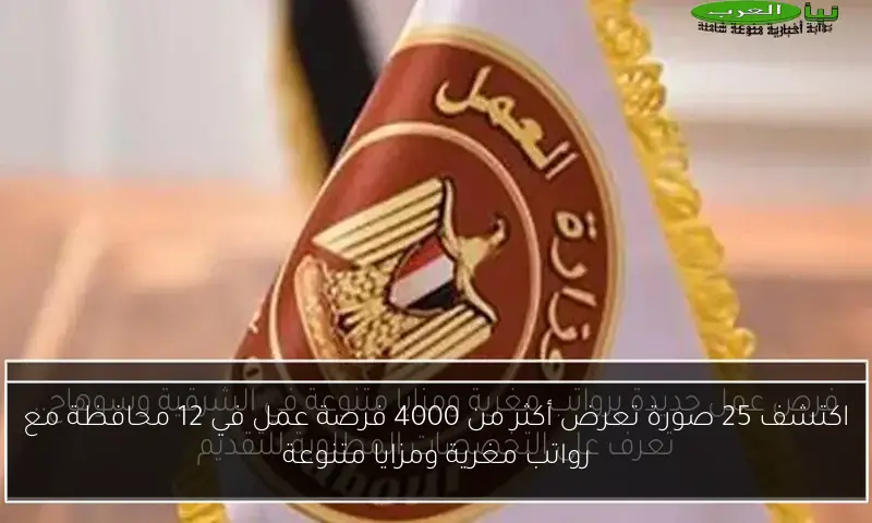 اكتشف 25 صورة تعرض أكثر من 4000 فرصة عمل في 12 محافظة مع رواتب مغرية ومزايا متنوعة