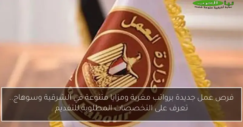 فرص عمل جديدة برواتب مغرية ومزايا متنوعة في الشرقية وسوهاج.. تعرف على التخصصات المطلوبة للتقديم