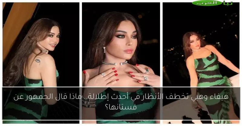 هيفاء وهبي تخطف الأنظار في أحدث إطلالة.. ماذا قال الجمهور عن فستانها؟
