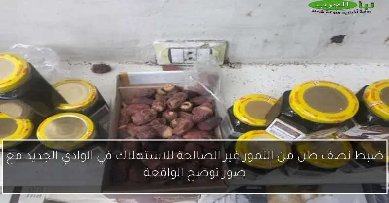 ضبط نصف طن من التمور غير الصالحة للاستهلاك في الوادي الجديد مع صور توضح الواقعة