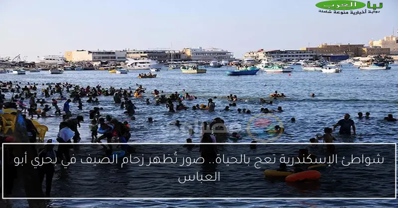 شواطئ الإسكندرية تعج بالحياة.. صور تُظهر زحام الصيف في بحري أبو العباس