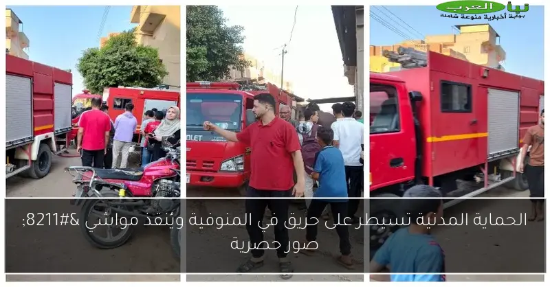 الحماية المدنية تسيطر على حريق في المنوفية ويُنقذ مواشي – صور حصرية