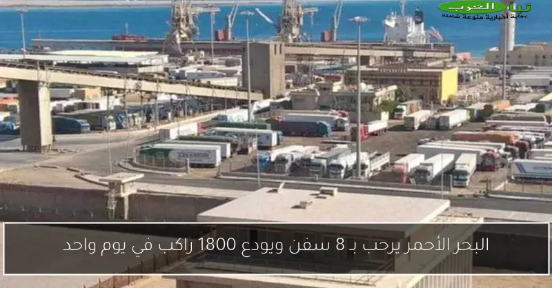 البحر الأحمر يرحب بـ 8 سفن ويودع 1800 راكب في يوم واحد