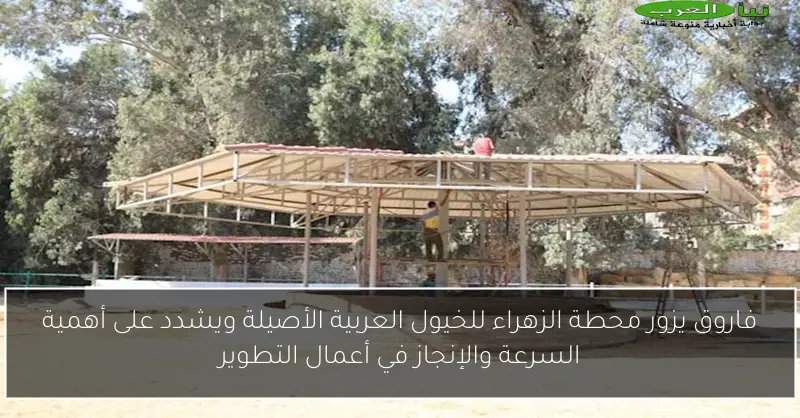 فاروق يزور محطة الزهراء للخيول العربية الأصيلة ويشدد على أهمية السرعة والإنجاز في أعمال التطوير