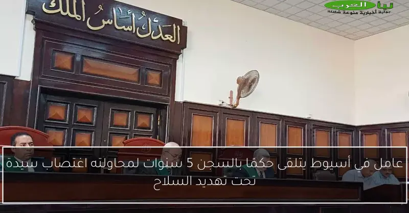 عامل في أسيوط يتلقى حكمًا بالسجن 5 سنوات لمحاولته اغتصاب سيدة تحت تهديد السلاح
