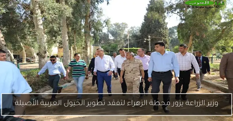 وزير الزراعة يزور محطة الزهراء لتفقد تطوير الخيول العربية الأصيلة